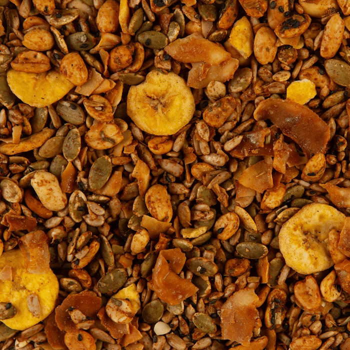 GRANOLA-SALGADA-NORDESTINA -  - INSUMO