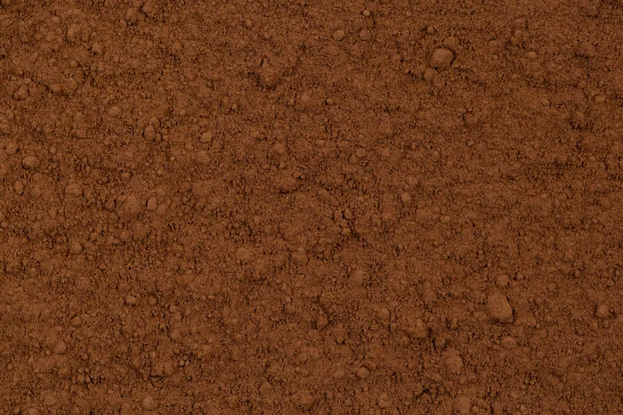 CACAU EM PÓ (1) (1)