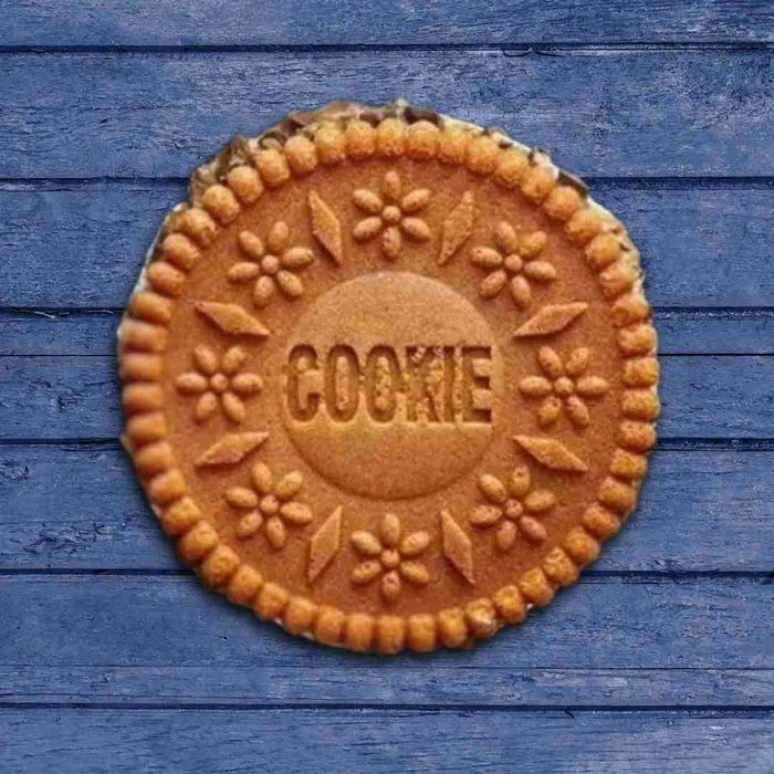 Forma de Bolo Biscoito/Cookie Gigante (22,0cm) - Caparroz_07