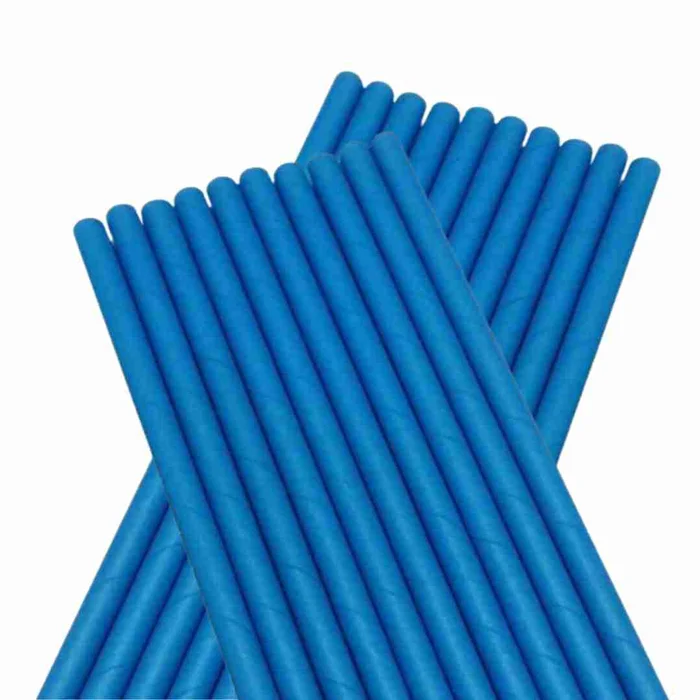 Canudo de Papel Liso Azul (20uni) - BWB (2)