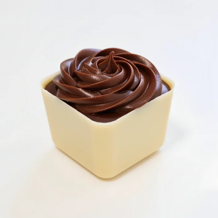 Forma de Chocolate Caixa Quadrada Mini 20g Acetato e Silicone - BWB B