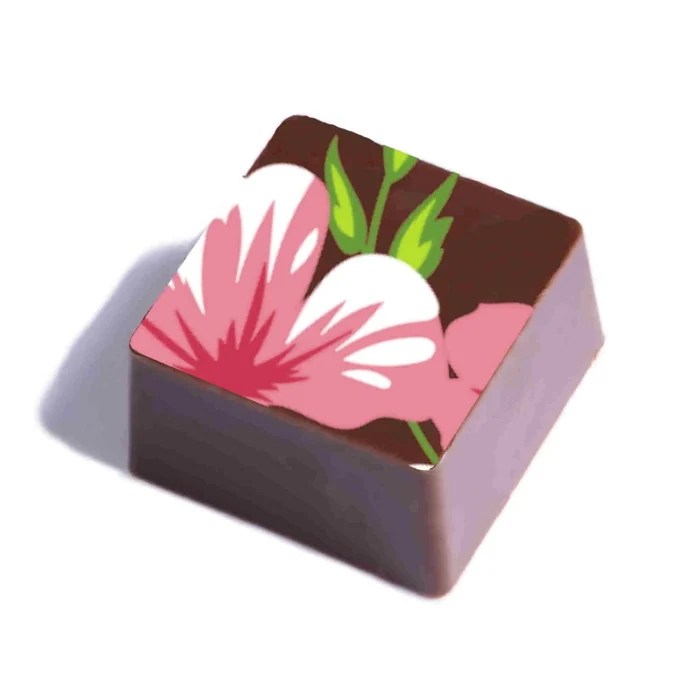 Transfer para Chocolate (40 x 30cm) - Flores da Vovó (4)