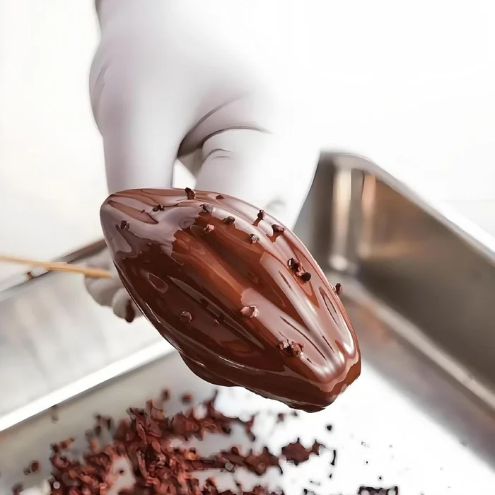 Forma de Mono Porção e Entremet em Silicone Cacau (200ml) - Brothers (7)
