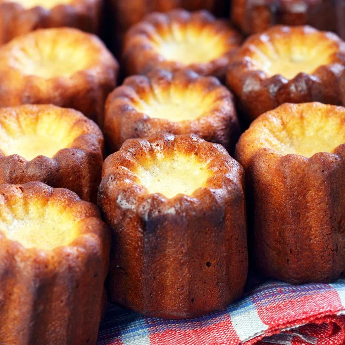 Forma de Mono Porção e Entremet em Silicone Cannele (90ml) - Brothers (3)