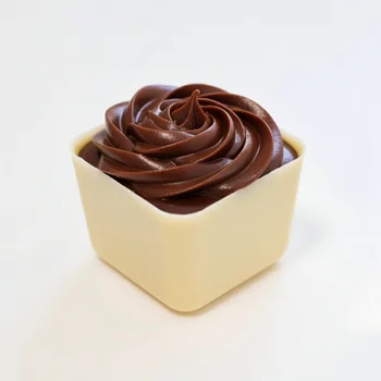 Forma de Chocolate Caixa Quadrada Mini 20g Acetato e Silicone - BWB B