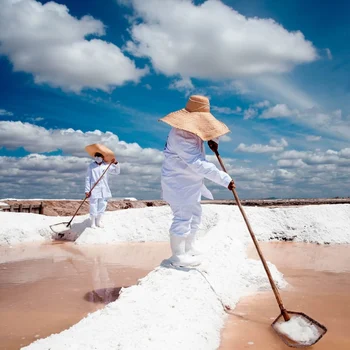 Flor de Sal 350g - Cimsal B