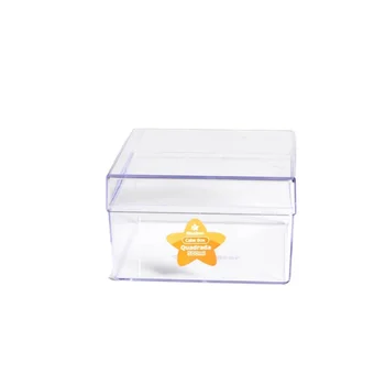 Cake Box Cristal Quadrada com Tampa (500mL) - BlueStar