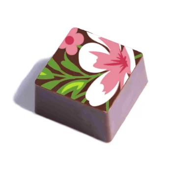 Transfer para Chocolate (40 x 30cm) - Flores da Vovó (6)