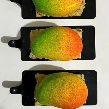 Forma de Mono Porção e Entremet em Silicone Manga (130ml) - Brothers (15)