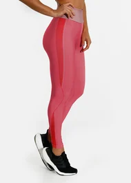 ref-219-leg-1
