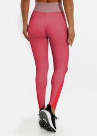 ref-219-leg-5