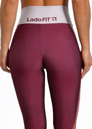 ref-459-leg-6