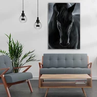 ref-187-black-horse