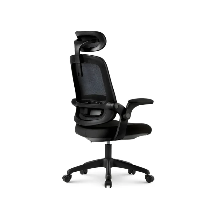 Cadeira De Escritório Ergonômica Elements Astra, Preta - Open Box 3