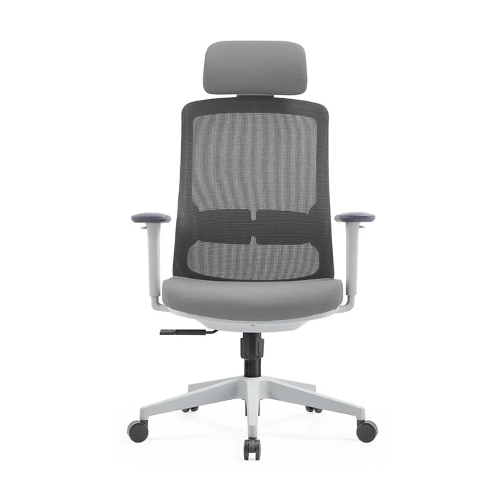 Cadeira de Escritório Ergonômica Aurove 188A Neo Gray 1