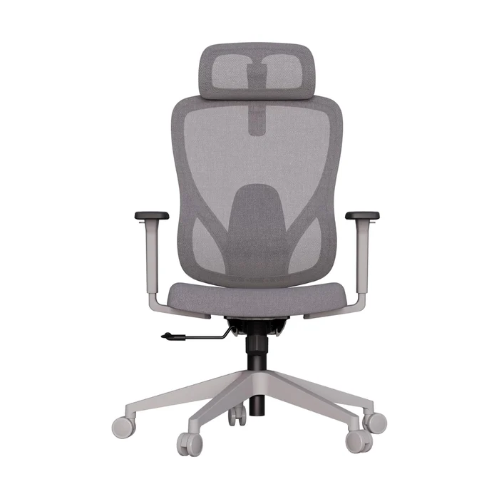 Cadeira Ergonômica Elements Sarin Cinza 1