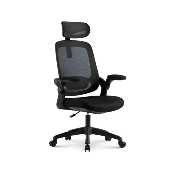 Cadeira De Escritório Ergonômica Elements Astra, Preta - Open Box 1
