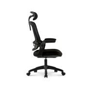 Cadeira De Escritório Ergonômica Elements Astra, Preta - Open Box 2
