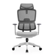 Cadeira De Escritório Ergonômica Aurove 186A Edge Gray 1