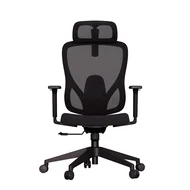 Cadeira Ergonômica Elements Sarin Preta 1