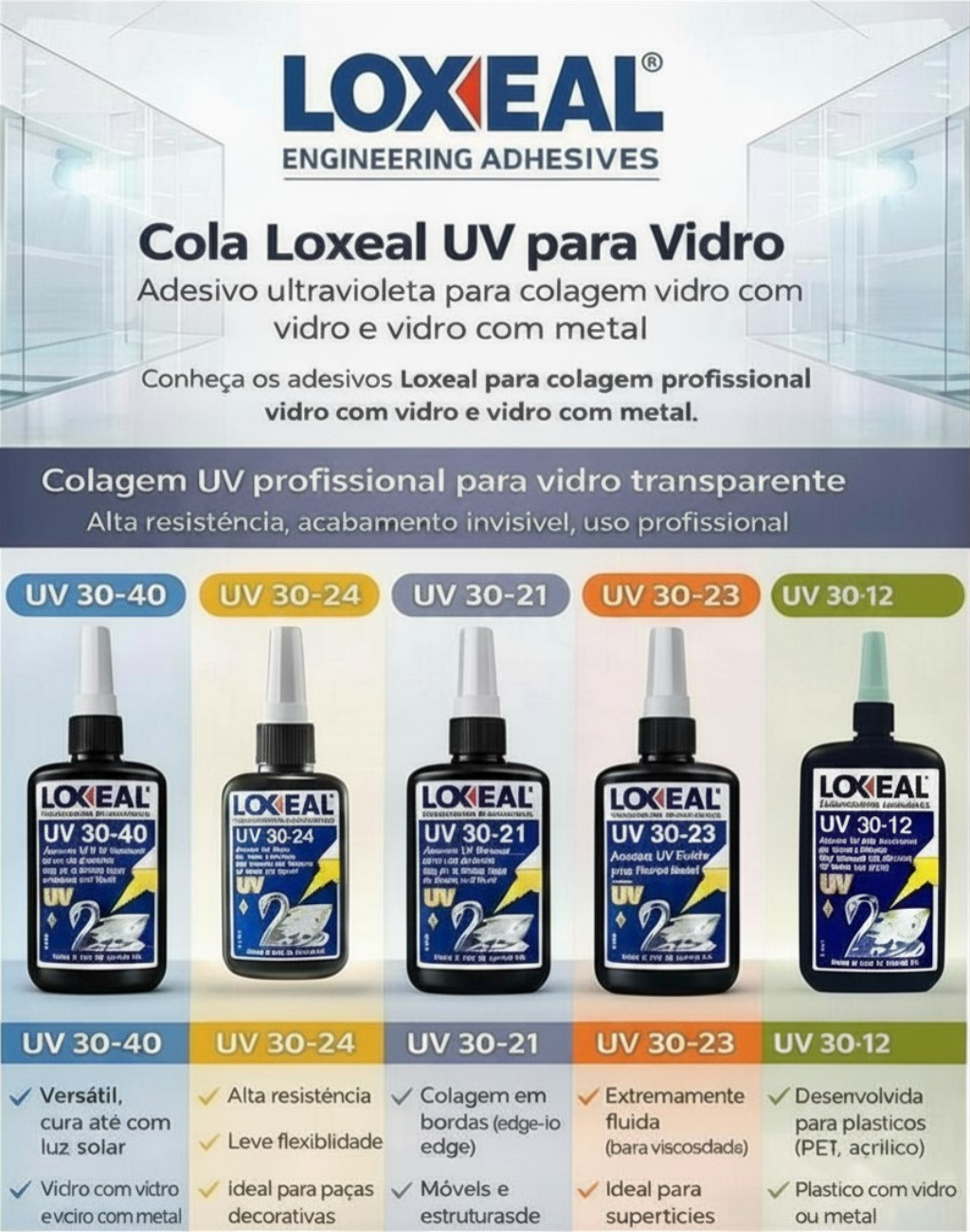 cola loxeal infografico